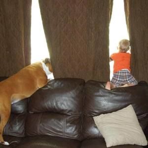 Meet your Posher, Joe